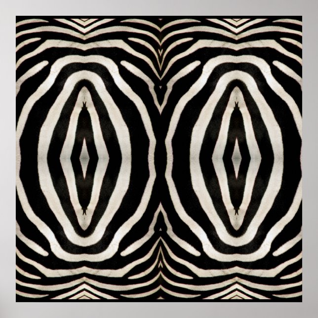 Affiches Photograph of a real Zebra's Fur (Devant)