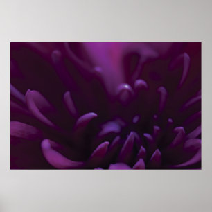 Affiches Photographie à fleurs violettes