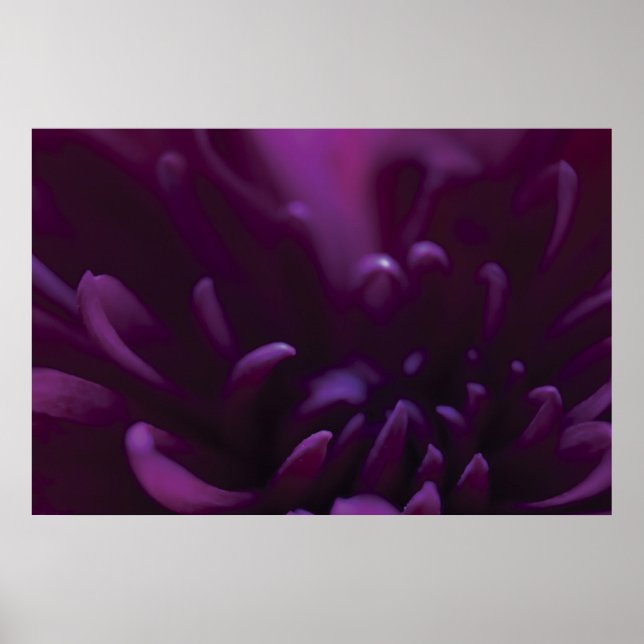 Affiches Photographie à fleurs violettes (Devant)
