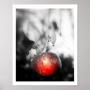 Affiches Photographie Apple "Tentation" Imprimer