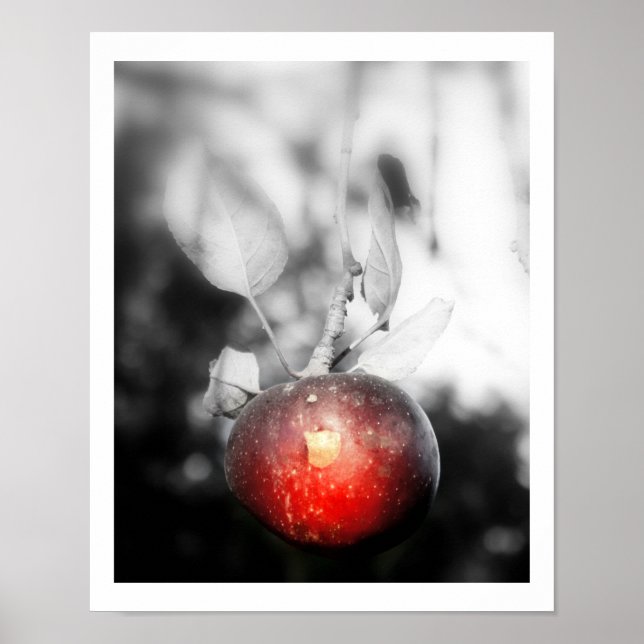 Affiches Photographie Apple "Tentation" Imprimer (Devant)