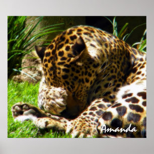 Affiches Photographie artistique d'animaux de léopard migno