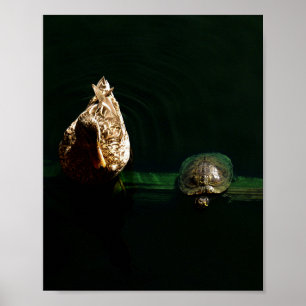 Affiches Photographie d'art de la tortue et du canard