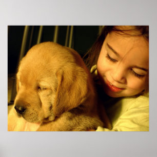 Affiches Photographie de chiot de golden retriever