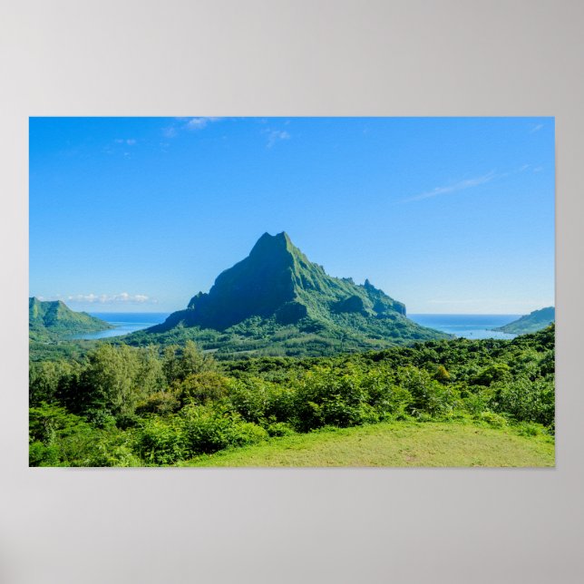 Affiches Photographie de l'affiche Tropical green Moorea (Devant)