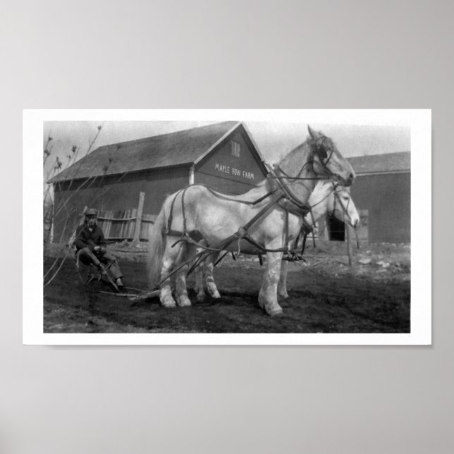 Affiches Photographie historique de la ferme de rangées d'é (Devant)