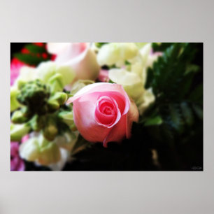 Affiches photographie rose simple