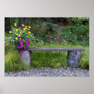 Affiches Photographie rustique de seau de banc et de fleur