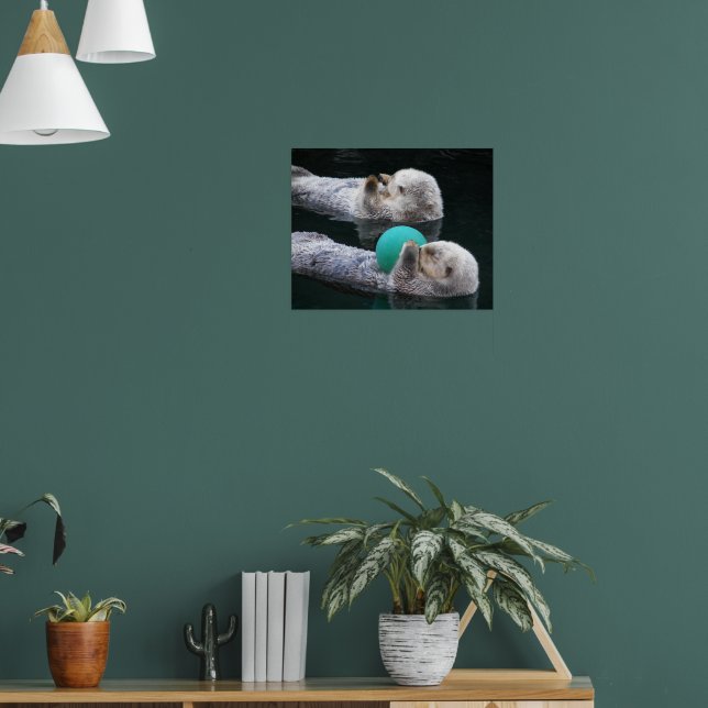 Affiches Photos de Loutres de Mer (Salon 1)