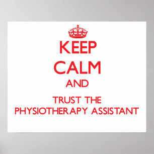 Affiches PHYSIOTHERAPY-ASSIST1443.png