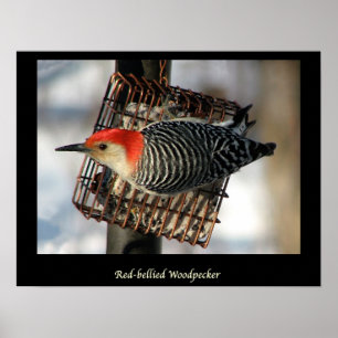 Affiches Pic rouge