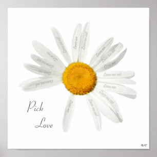 Affiches Pick Love Daisy