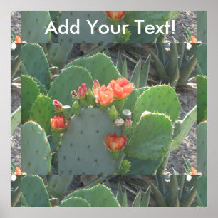 Affiches Pickly Pear Cactus