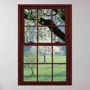 Affiches Picture Window Landscape - Cherry Blossoms.