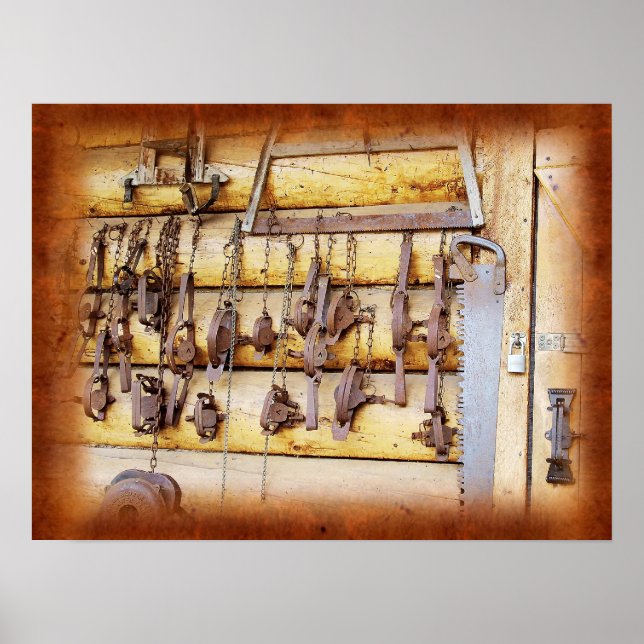 Affiches Pièges animaux en Alaska (Devant)