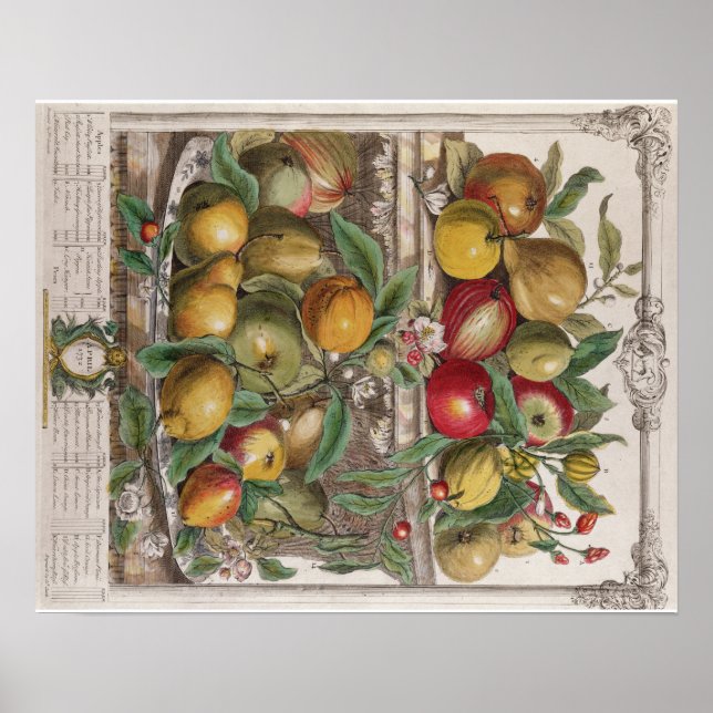 Affiches Pieter Casteels, Douze mois de fruits, avril (Devant)