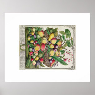 Affiches Pieter Casteels, douze mois de fruits, juillet