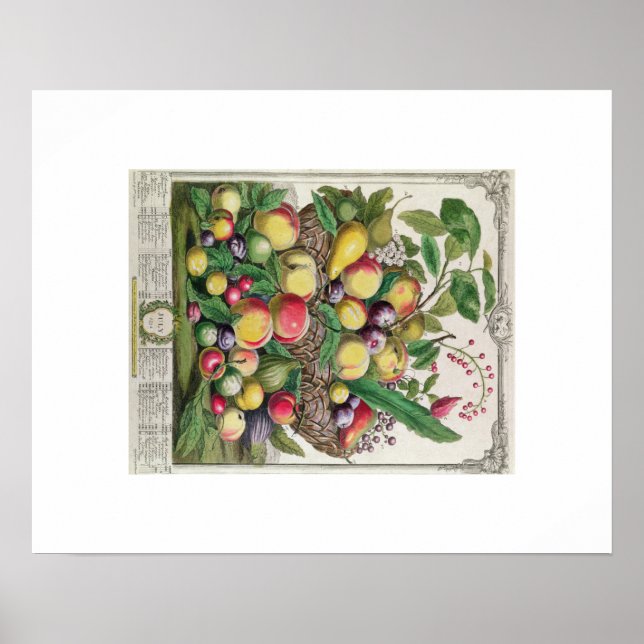 Affiches Pieter Casteels, douze mois de fruits, juillet (Devant)