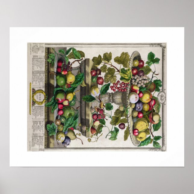 Affiches Pieter Casteels, Douze mois de fruits, juin (Devant)