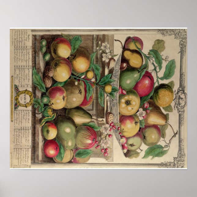Affiches Pieter Casteels, douze mois de fruits, mars (Devant)