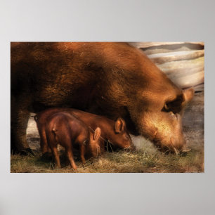 Affiches Pig - Family Bonds