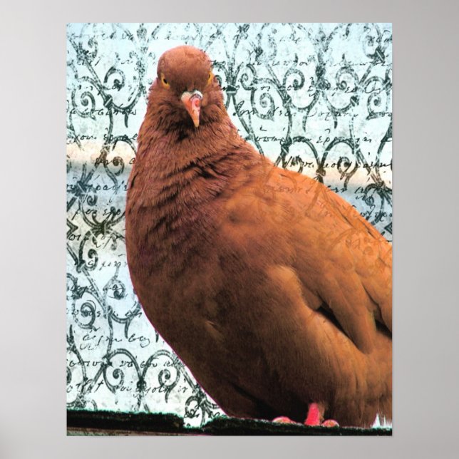 Affiches Pigeon Art (Devant)