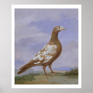 Affiches Pigeon porte-pieux rouge (huile sur toile)