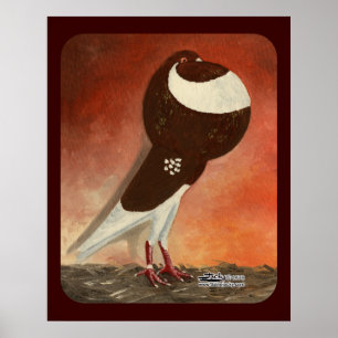 Affiches Pigeon rouge Norwich