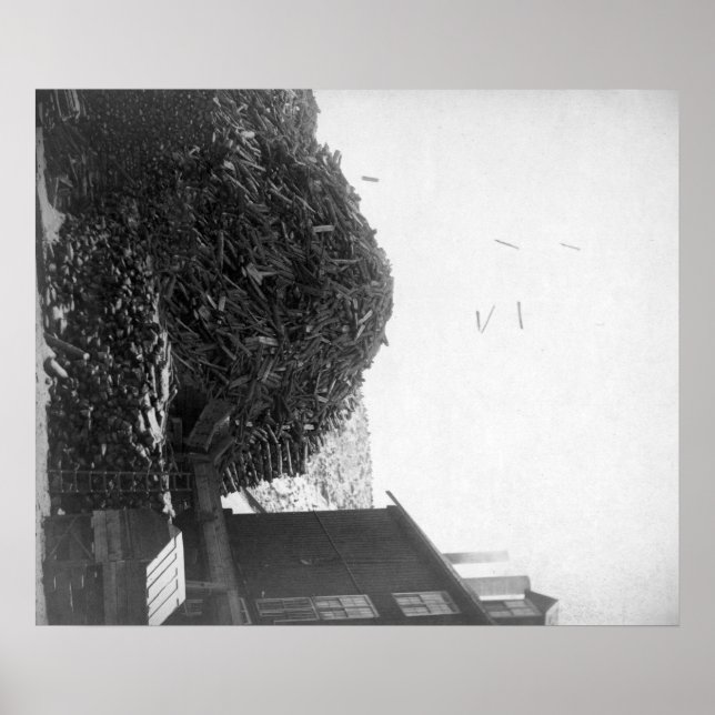 Affiches Pile de bois à l'extérieur du moulin de De Smet (Devant)