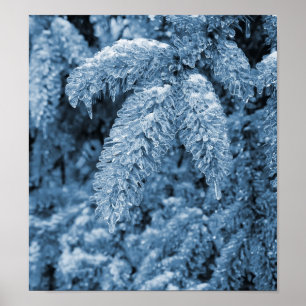 Affiches Pin glacial