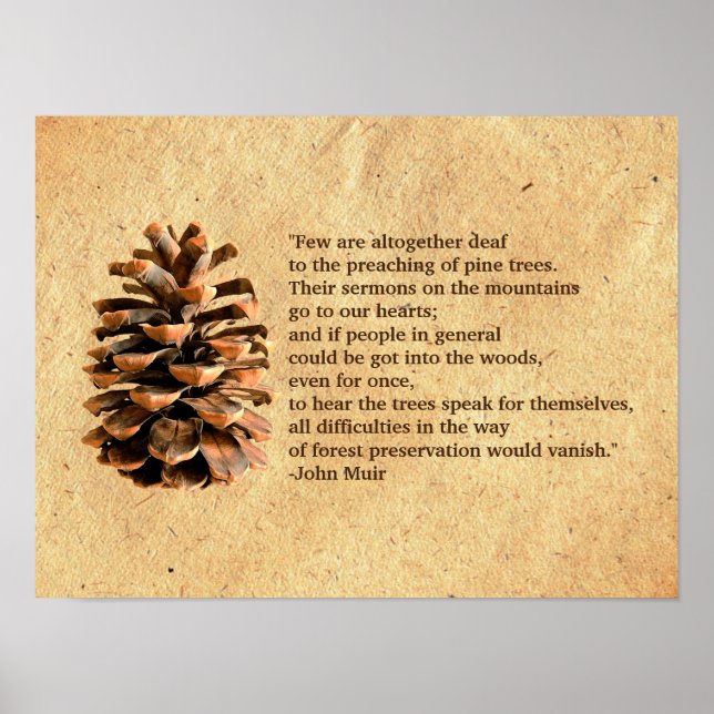 Affiches Pine Cone And John Muir Quote (Devant)