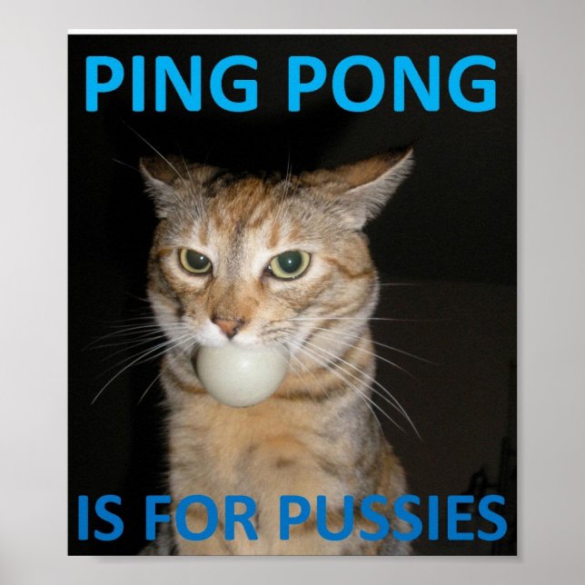 Affiches Ping Pong Est Pour Les Chattes (Devant)