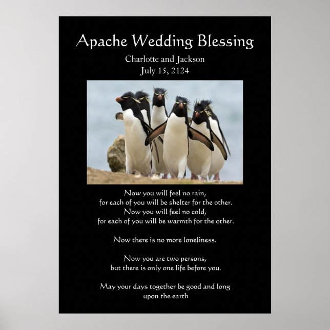 Affiches Pingouins Bénédiction Mariage Apache (Devant)