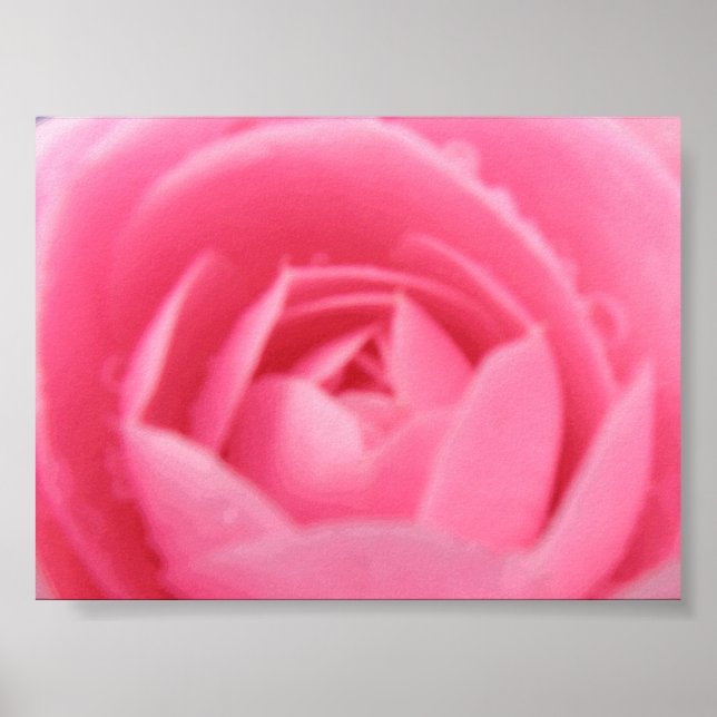 Affiches Pink Camelia (Devant)