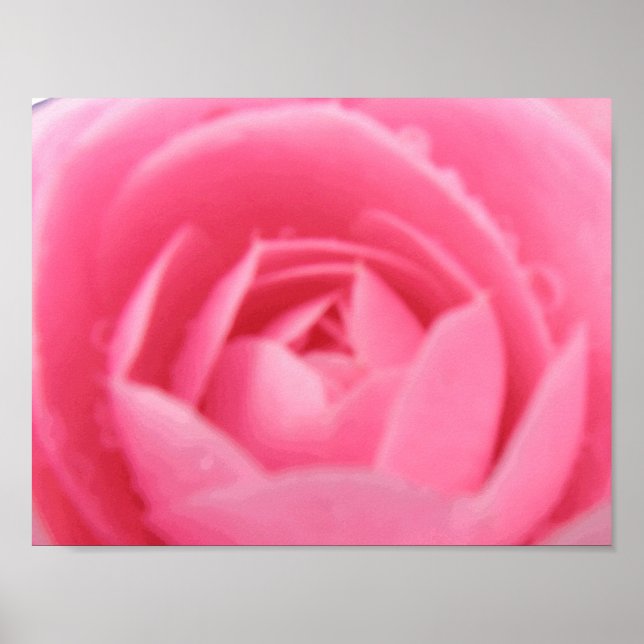 Affiches Pink Camelia (Devant)