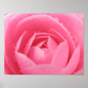 Affiches Pink Camellia Print