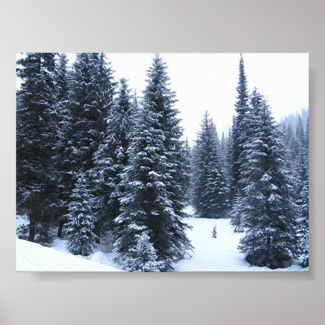 Affiches Pins en hiver (Devant)