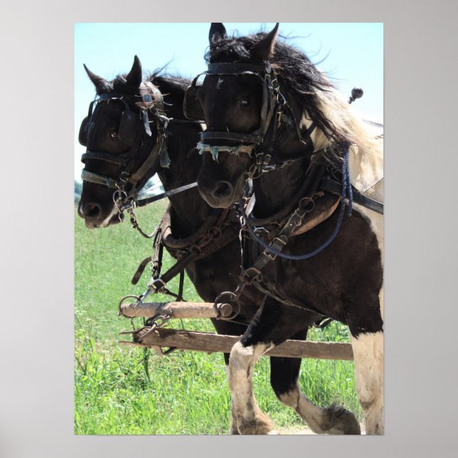 Affiches Pinto Drafts au travail (Devant)