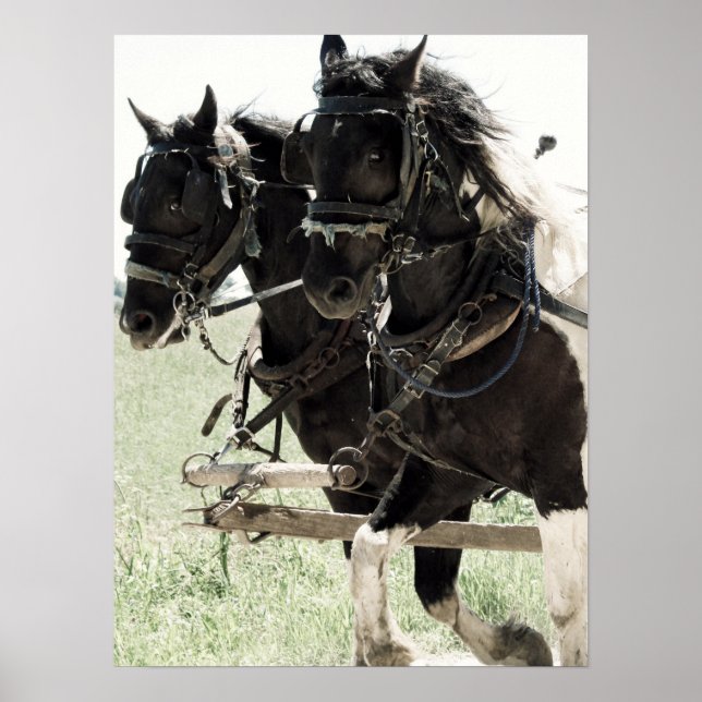 Affiches Pinto Drafts au travail (Devant)