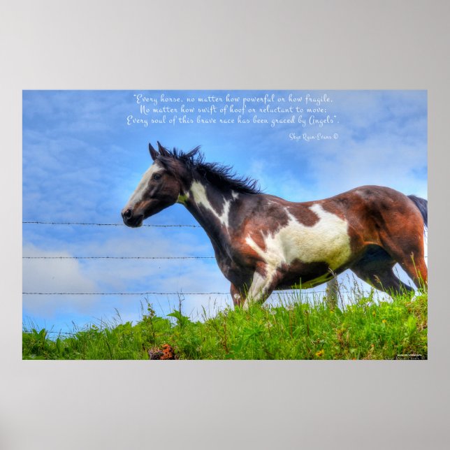 Affiches Pinto Paint & Clouds Ranch Horse w Poem Photo (Devant)