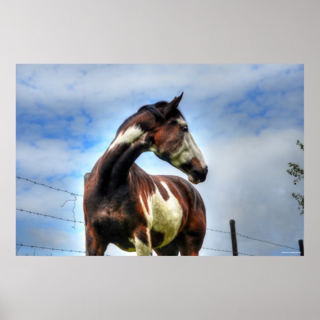 Affiches Pinto Paint & Nuages Ranch Horse Equine Photo (Devant)