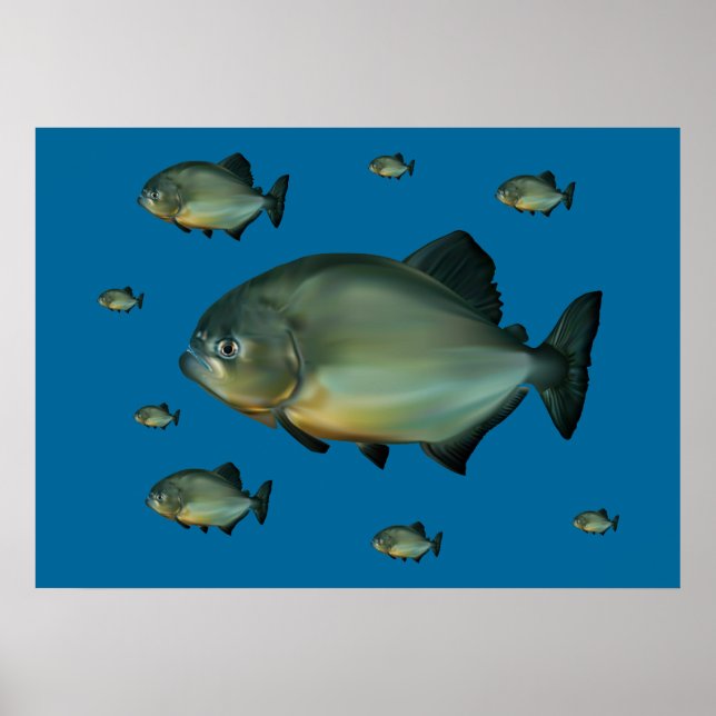 Affiches Piranhas (Devant)