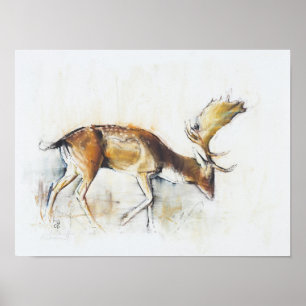 Affiches Pisanello Buck 2006