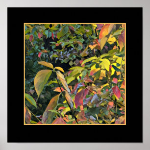 Affiches Pistache chinoise dans l'automne