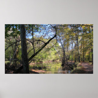 Affiches Piste Bull Run