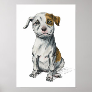 Affiches Pit Bull Puppy Sketch Drawing
