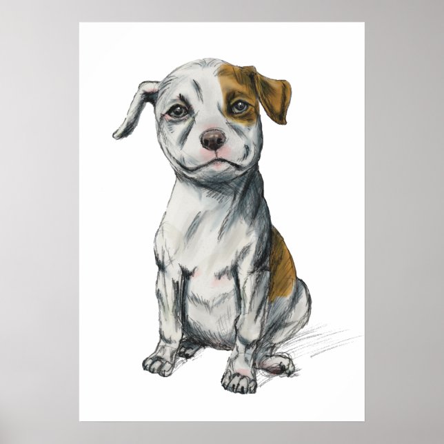 Affiches Pit Bull Puppy Sketch Drawing (Devant)