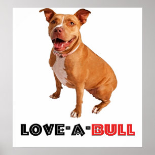 Affiches Pittie Brown mignon Amour-un-Taureau