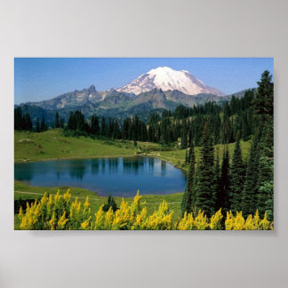 Affiches Pittoresque alpin, Washington