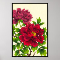 Pivoine Hodo Nishimura fleurs japonaises beaux-art